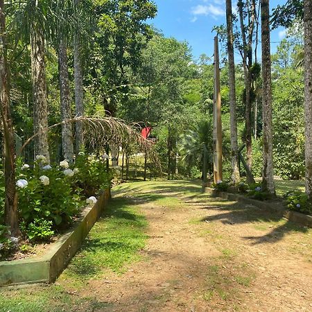 Chalé em meio à natureza! Guabiruba Extérieur photo