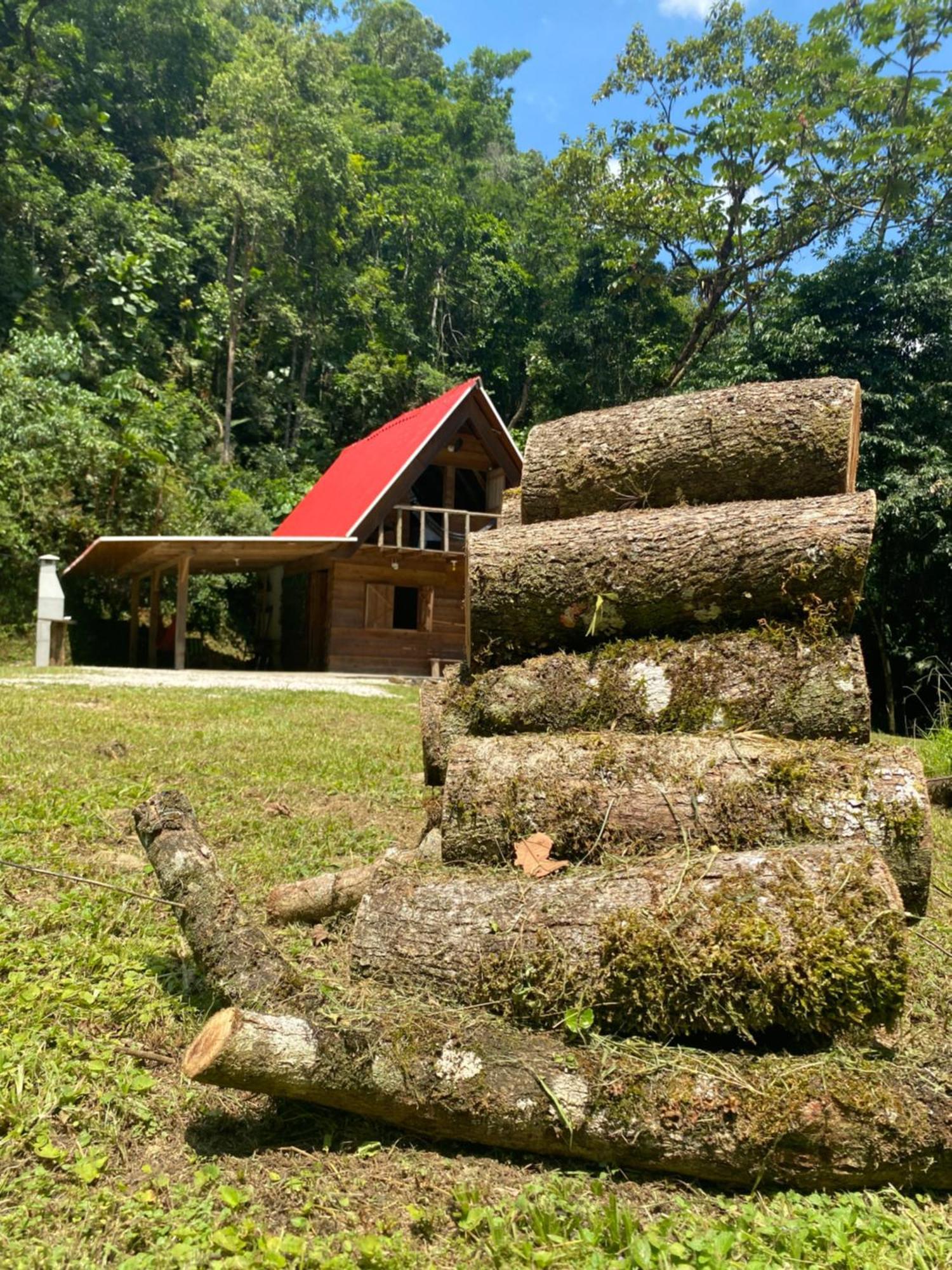 Chalé em meio à natureza! Guabiruba Extérieur photo