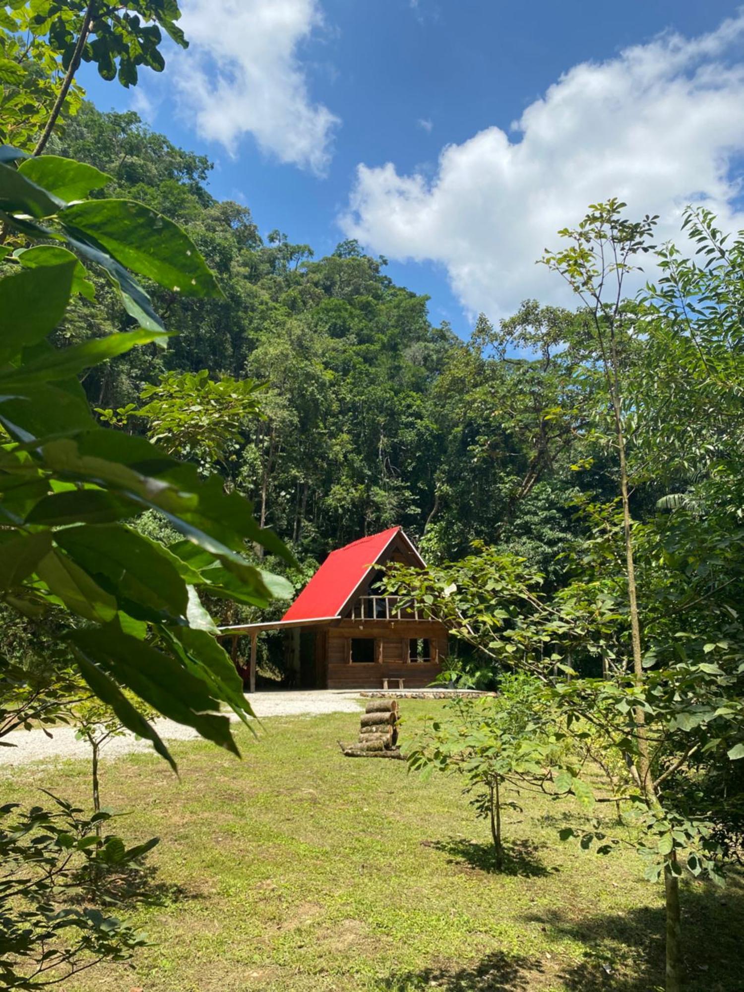 Chalé em meio à natureza! Guabiruba Extérieur photo