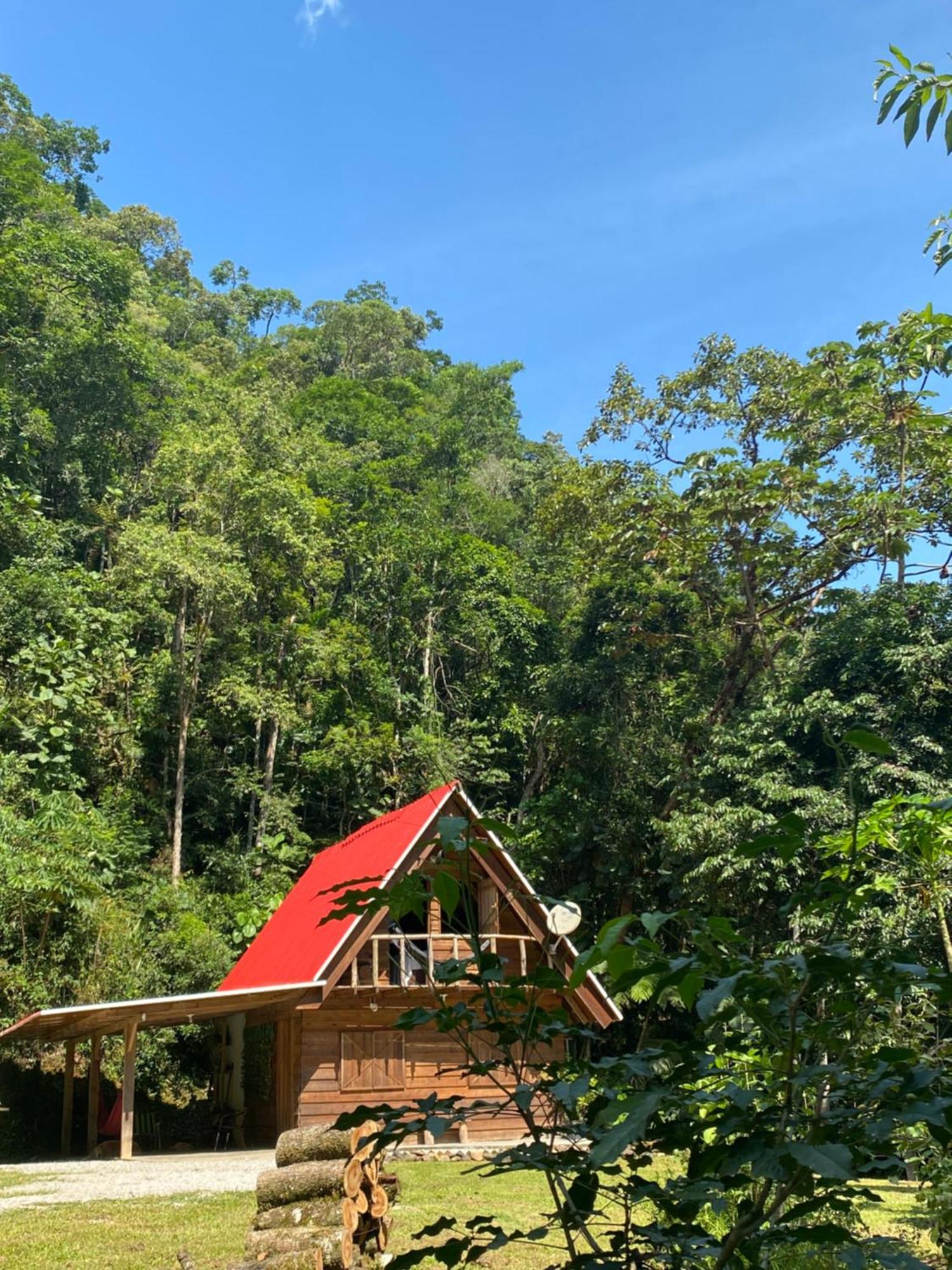 Chalé em meio à natureza! Guabiruba Extérieur photo