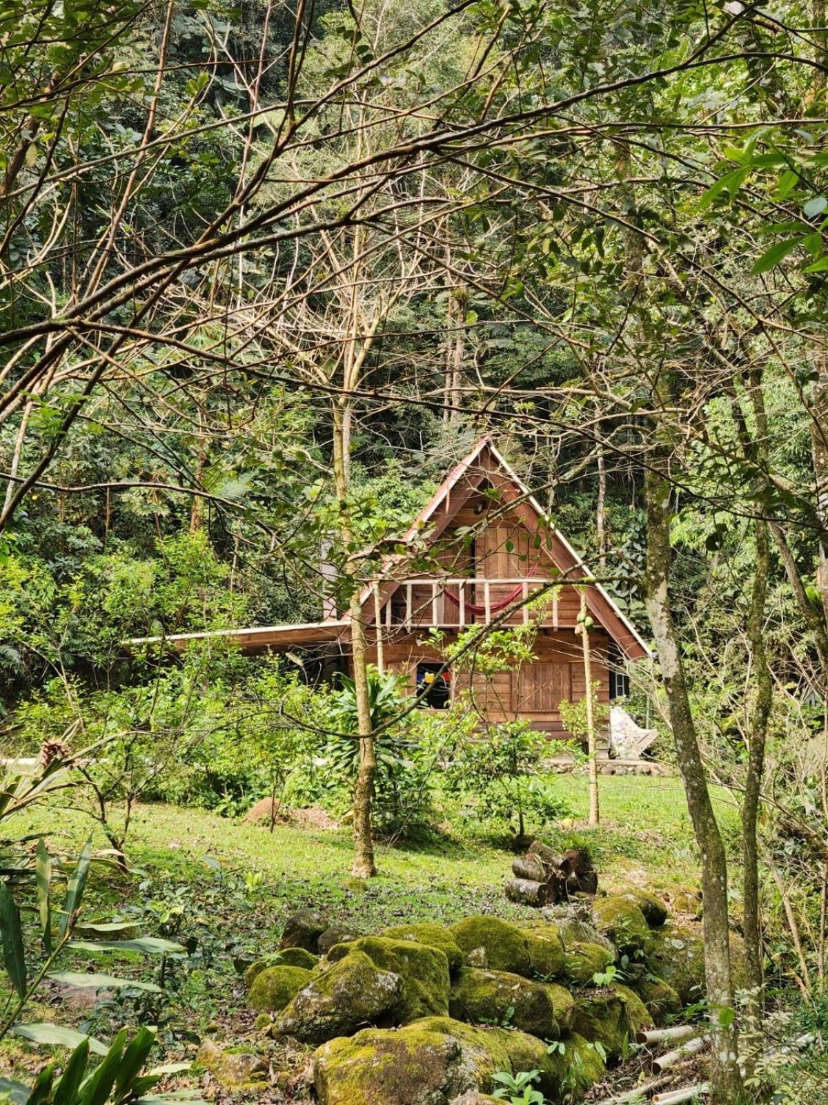 Chalé em meio à natureza! Guabiruba Extérieur photo